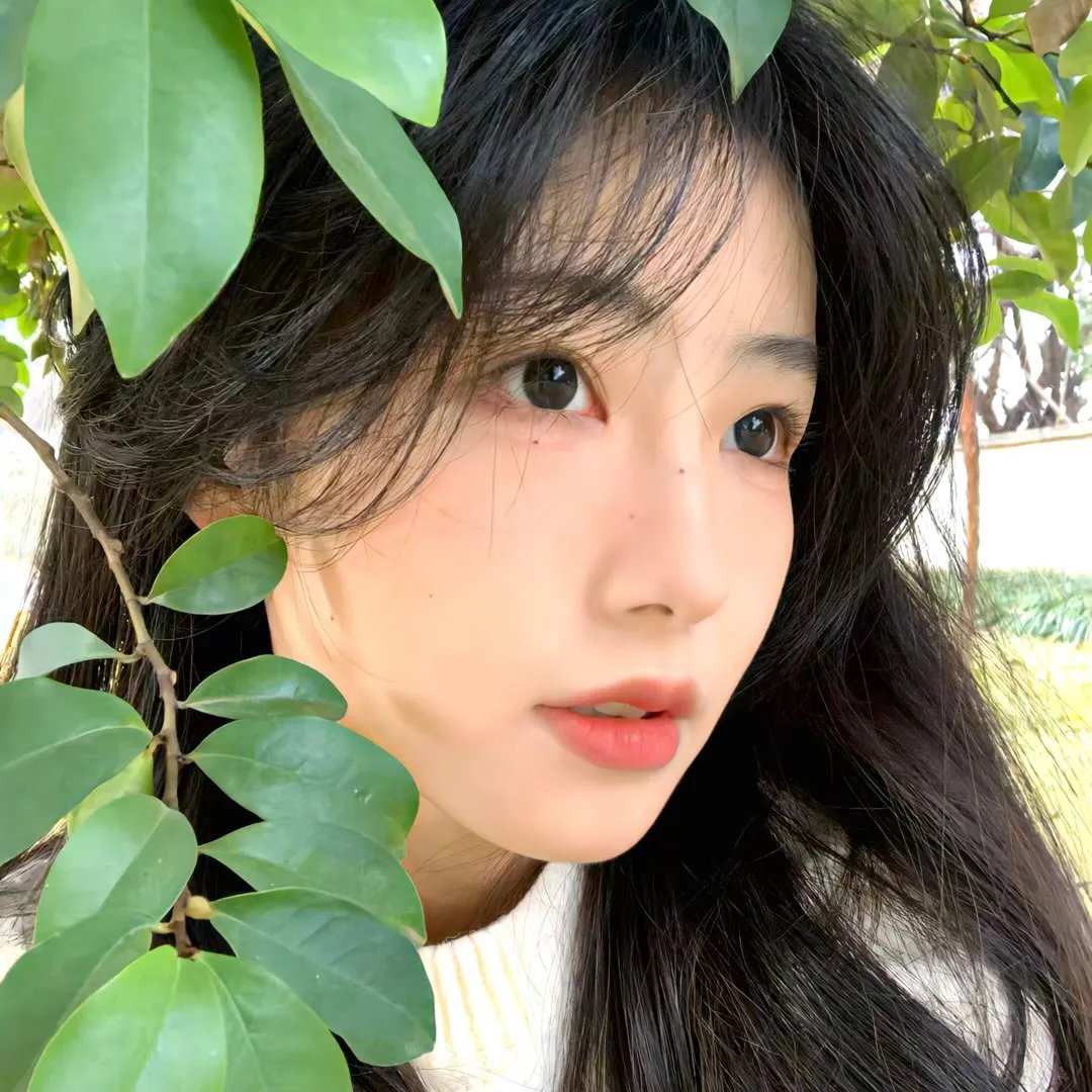 红肥绿瘦