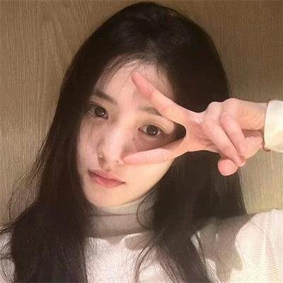 鼩鼱的巢穴