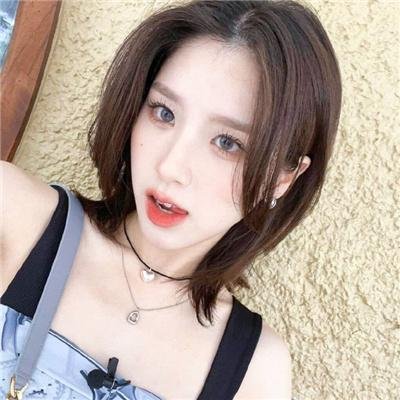 动物狂想曲第一季